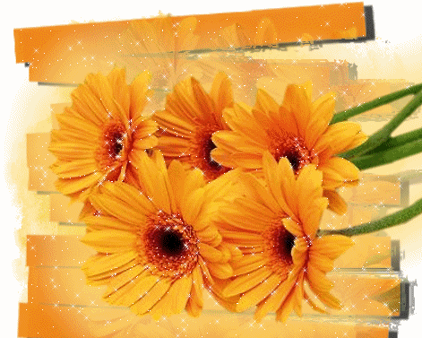 Brokatowe, błyszczące gerbery